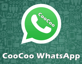 Aplikasi Mempercantik Wajah Saat Video Call - CooCoo