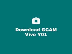 Download GCAM Vivo Y01 Terbaru dan Confignya